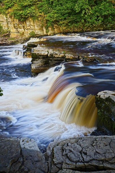 River Swale Falls at Richmond North Yorkshire Picture Board by Martyn Arnold