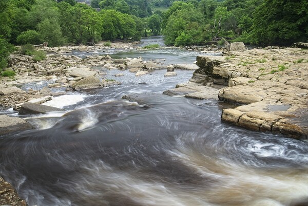 River Swale at Richmond North Yorkshire Picture Board by Martyn Arnold