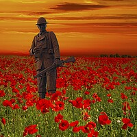 Buy canvas prints of We Will Remember Them by Martyn Arnold
