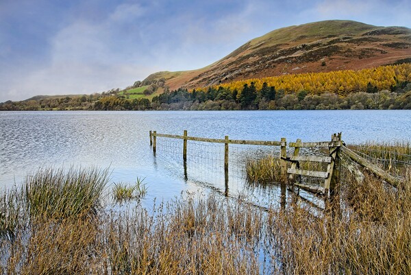 Loweswater Landscape and Fells Lake District Picture Board by Martyn Arnold