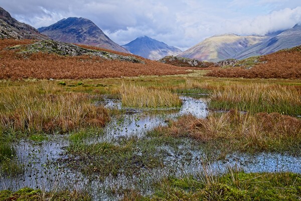 Lake District Fells and Mountains near Wastwater Picture Board by Martyn Arnold