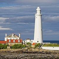 Buy canvas prints of SAINT MARYS ISLAND, WHITLEY BAY PANORAMA by Martyn Arnold