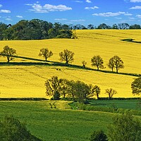 Buy canvas prints of Rutland Countryside Landscape by Martyn Arnold