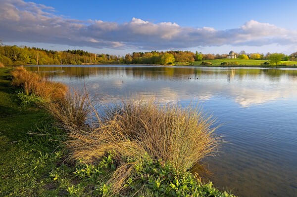 Serene Reflections at Hardwick Park, County Durham Picture Board by Martyn Arnold
