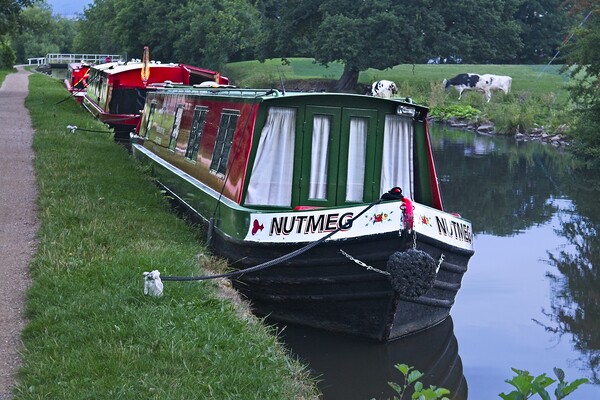 Canal Narrow Boats on the Leeds Canal at Skipton Picture Board by Martyn Arnold