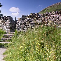 Buy canvas prints of Stone Walls and Wildflowers at Muker by Martyn Arnold
