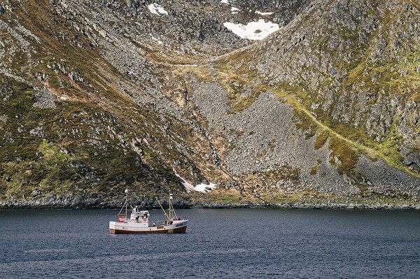 Fishing Boat in Honningsvag, Arctic Norway Picture Board by Martyn Arnold