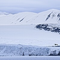 Buy canvas prints of Tunabreen Glacier from Tempelfjorden on Svalbard by Martyn Arnold