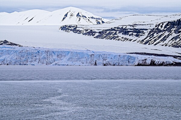 Silent, Serene, Snowy Arctic Landscape Spitsbergen Picture Board by Martyn Arnold