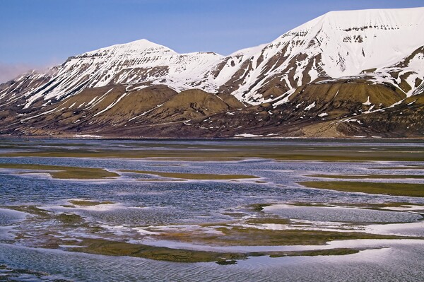 Rugged Mountain Landscape on Spitsbergen Picture Board by Martyn Arnold