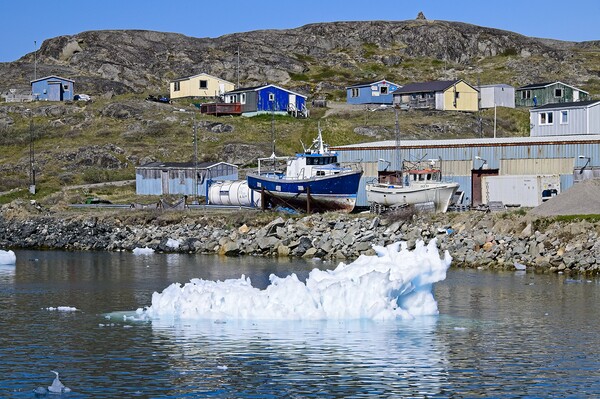 Icy Boatyard in Narsaq Greenland Picture Board by Martyn Arnold
