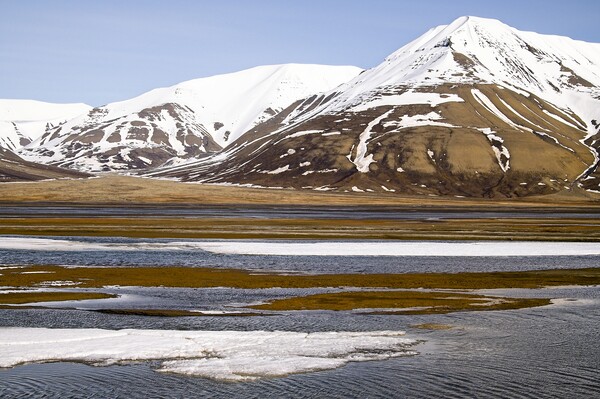 Mountains & Tundra on Arctic Spitsbergen Picture Board by Martyn Arnold