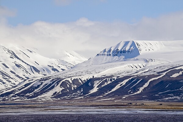 Snow Covered Mountains on Arctic Spitsbergen Picture Board by Martyn Arnold