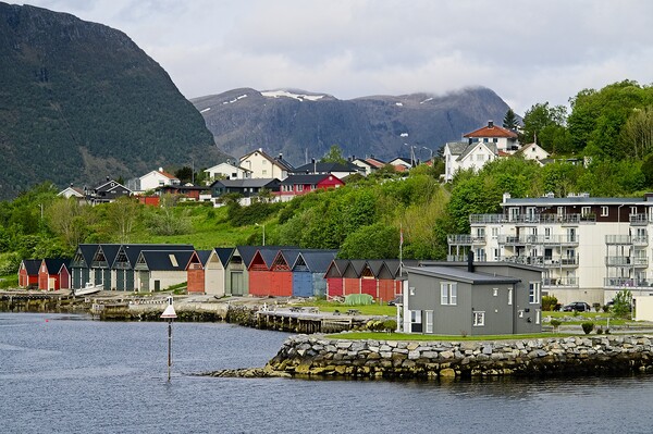 Boat Houses in Alesund Norway Picture Board by Martyn Arnold