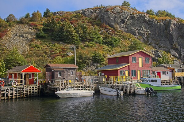 Autumn in Quidi Vidi Harbour, Newfoundland Picture Board by Martyn Arnold