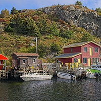 Buy canvas prints of Autumn in Quidi Vidi Harbour, Newfoundland by Martyn Arnold