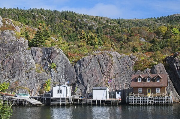 Fall in Quidi Vidi Harbour, St. John's Newfoundland Picture Board by Martyn Arnold