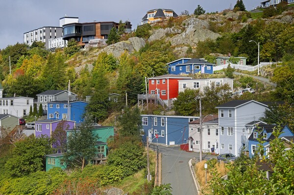 Colourful Houses, St. John's Newfoundland Picture Board by Martyn Arnold