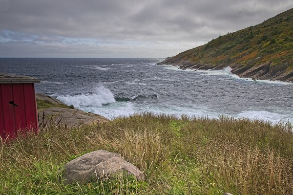 Rough Seas at Petty Harbour, Newfoundland, Canada Picture Board by Martyn Arnold