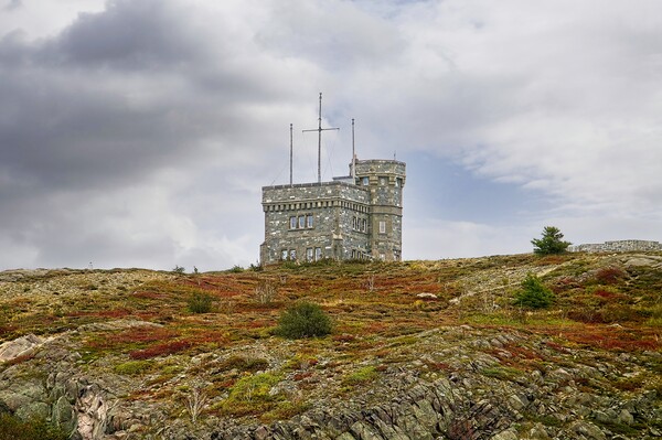 Signal Hill and Cabot Tower, St. John's Newfoundland Picture Board by Martyn Arnold