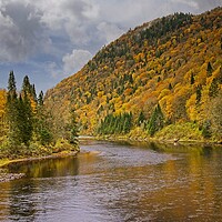 Buy canvas prints of Autumn Colours in Quebec Canada by Martyn Arnold