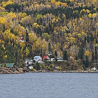 Buy canvas prints of Autumn Trees in Saguenay Fjord, Quebec, Canada by Martyn Arnold