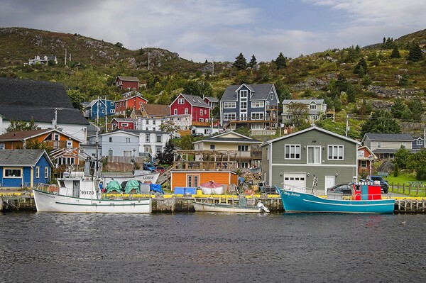 Petty Harbour Newfoundland and Labrador Picture Board by Martyn Arnold