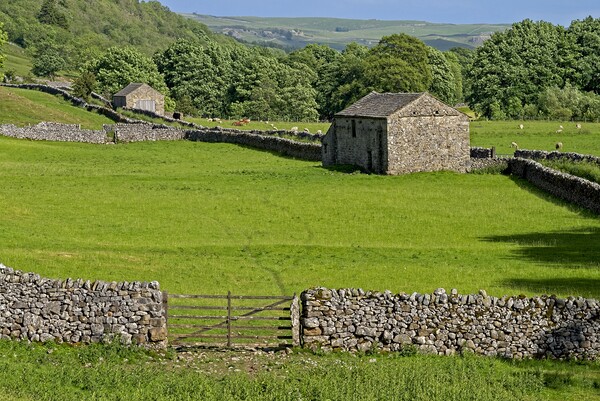 Grassington Stone Barns - Yorkshire Dales Picture Board by Martyn Arnold