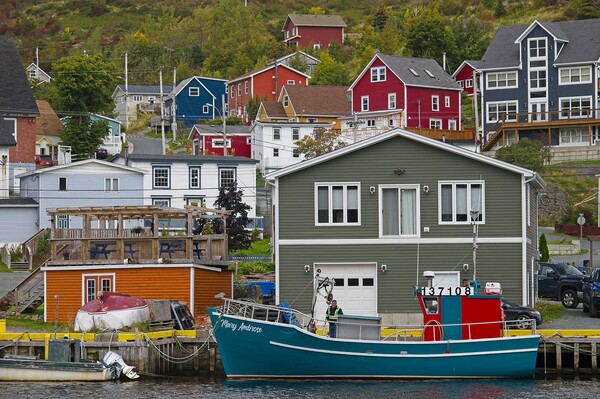 Petty Harbour-Maddox Cove, Newfoundland Picture Board by Martyn Arnold