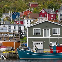 Buy canvas prints of Petty Harbour-Maddox Cove, Newfoundland by Martyn Arnold