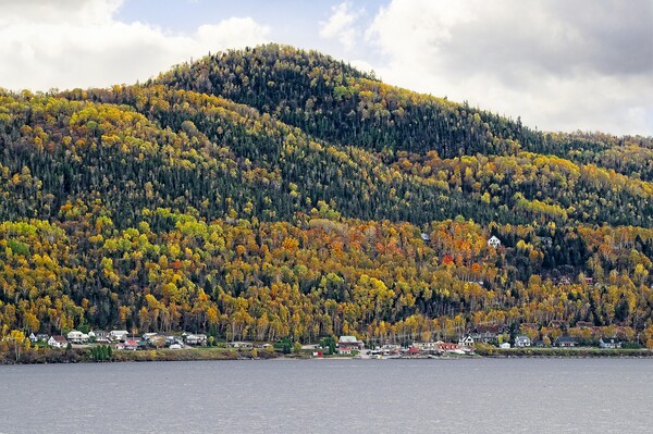 Autumn Colours in Saguenay Fjord Canada Framed Mounted Print by Martyn Arnold