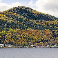 Buy canvas prints of Autumn Colours in Saguenay Fjord Canada by Martyn Arnold