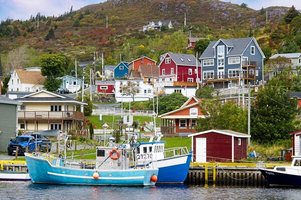 Petty Harbour Fishing Village Framed Mounted Print by Martyn Arnold