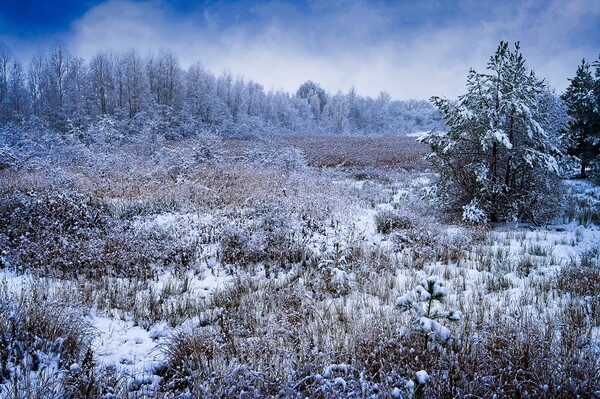 Winter Wonderland Picture Board by Martyn Arnold