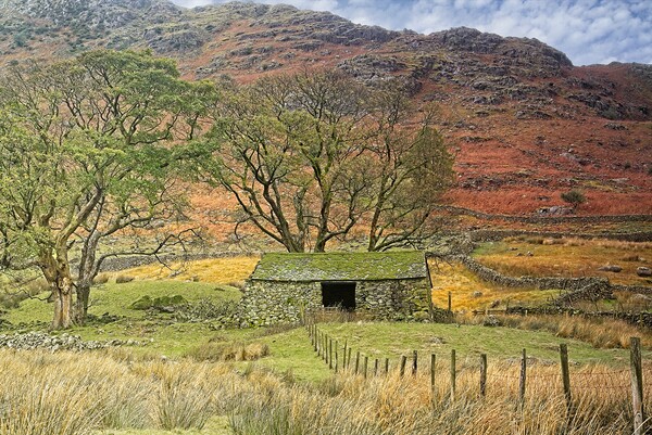 Lake District Landscape Picture Board by Martyn Arnold