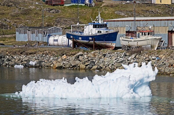 Ice Flow in Narsaq Harbour, Greenland Picture Board by Martyn Arnold