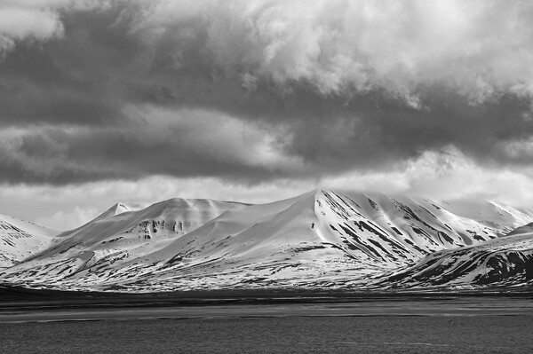 Arctic Landscape Svalbard Monochrome Picture Board by Martyn Arnold