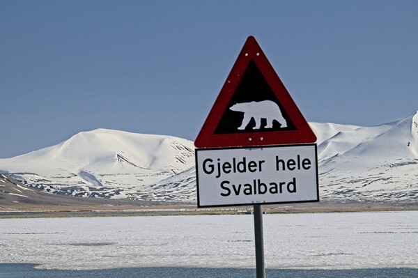 Svalbard Landscape Picture Board by Martyn Arnold