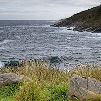 Buy canvas prints of Newfoundland Landscape  by Martyn Arnold