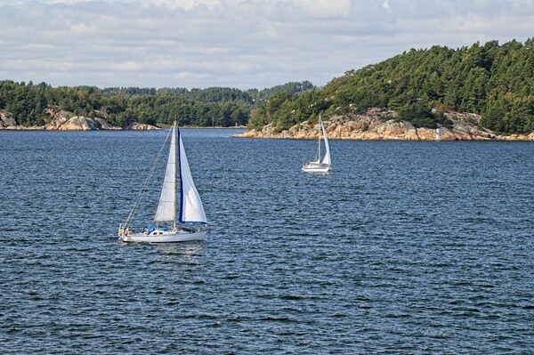 Sailing the Swedish Fjords Picture Board by Martyn Arnold