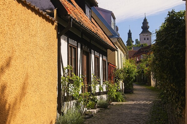 Cobbled Street in Visby Sweden Picture Board by Martyn Arnold