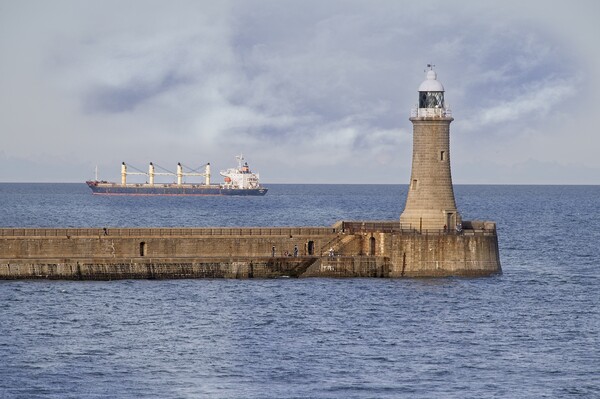 Tynemouth Lighthouse and North Pier   Picture Board by Martyn Arnold