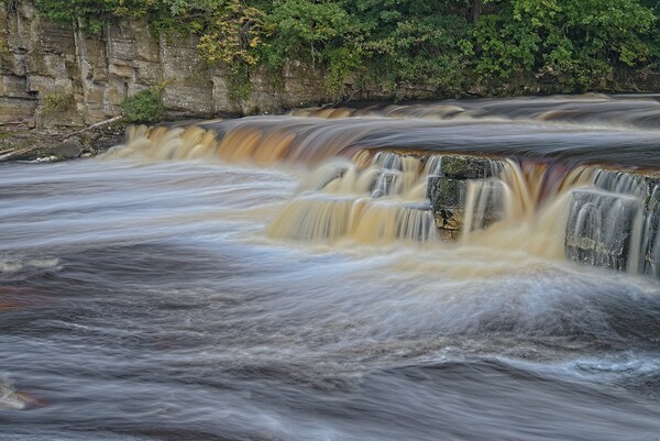 Waterfalls at Richmond North Yorkshire Picture Board by Martyn Arnold