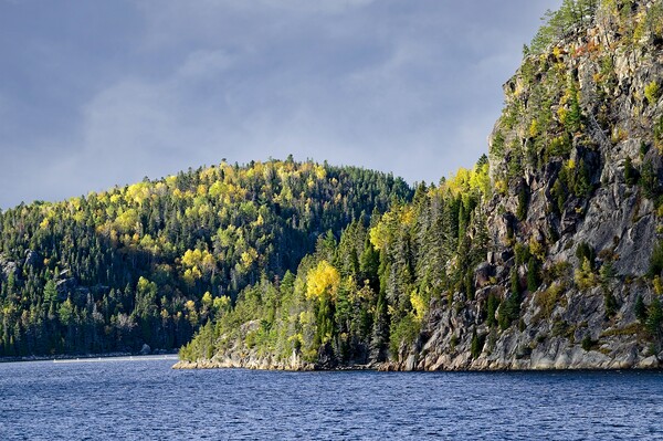 Fall Colours on the Saguenay River in Quebec Canada Picture Board by Martyn Arnold