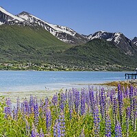Buy canvas prints of Norwegian Mountain Landscape Around Andalsnes by Martyn Arnold