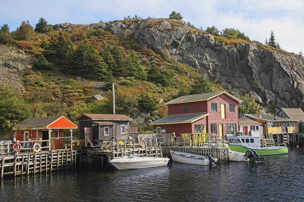 Quidi Vidi Harbour Newfoundland Picture Board by Martyn Arnold