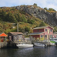 Buy canvas prints of Quidi Vidi Harbour Newfoundland by Martyn Arnold