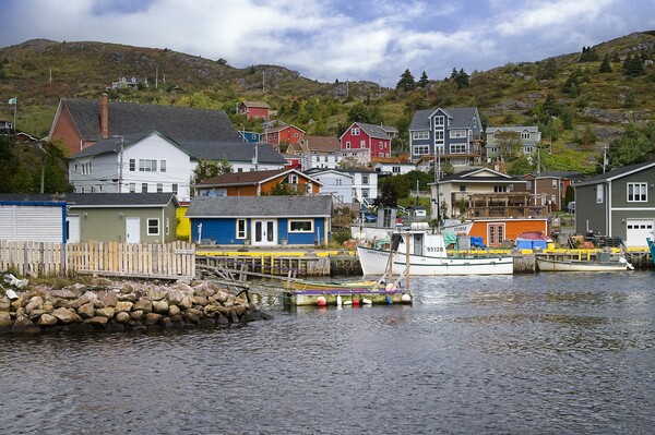 Newfoundland Fishing Village  Picture Board by Martyn Arnold