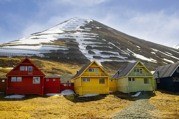 Summer in Arctic Svalbard Picture Board by Martyn Arnold