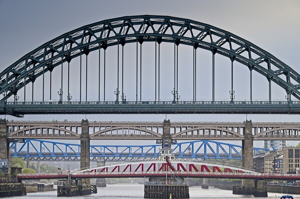 Newcastle upon Tyne Bridges Picture Board by Martyn Arnold